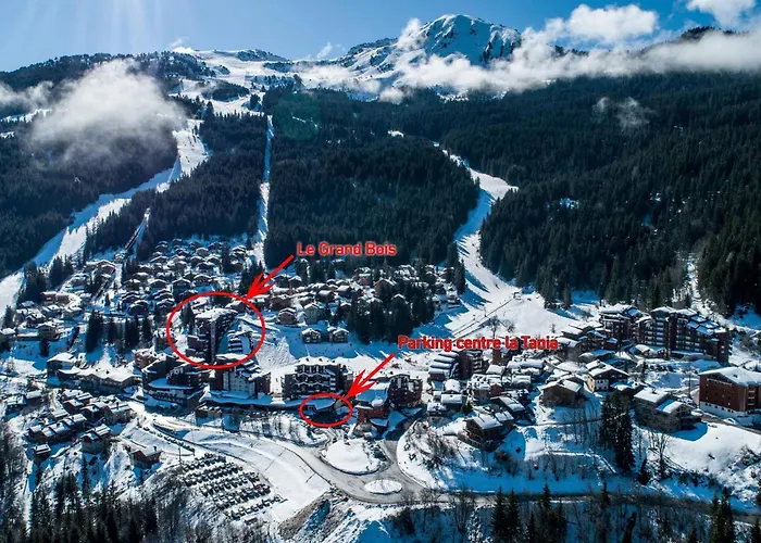 Confortable 2 Pieces, Skis Aux Pieds, Proche Commerces - Fr-1-182a-42 Lejlighed *